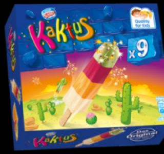 SCH&Ouml;LLER Kaktus 1.99&nbsp;&euro;