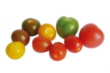 Cherrytomaten Bunte Mischung 6.99 €