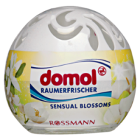 Rossmann Domol Raumerfrischer Sensual Blossoms