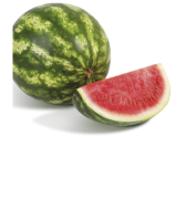 Ebl Naturkost Spanische Wassermelone Premium