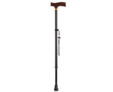 Gehstock 4.99&nbsp;&euro;