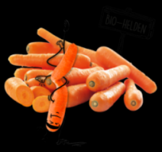 NATURGUT Bio-Karotten 1.19&nbsp;&euro;