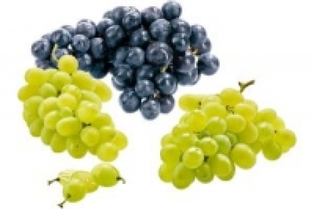 Trauben 2.99 €