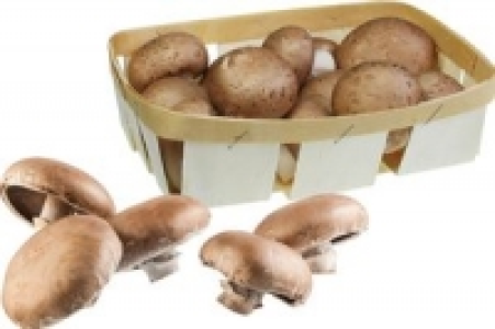 Riesenchampignons 0.79&nbsp;&euro;
