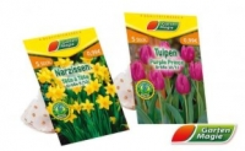 Herbstblumenzwiebeln 0.99&nbsp;&euro;