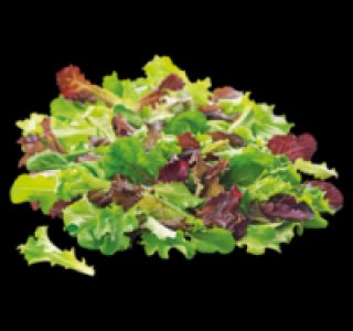Pfl&uuml;cksalat 0.85&nbsp;&euro;