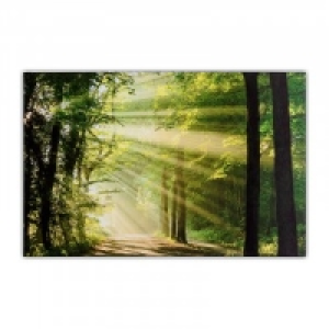 XXL-Kunstdruck 14.99 €