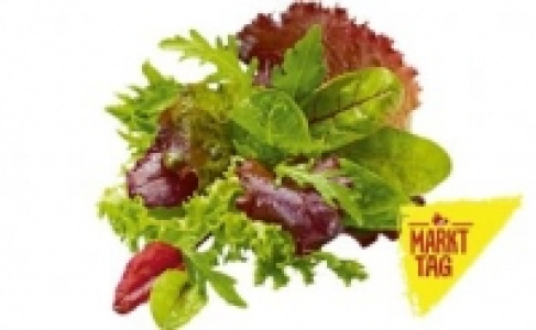 Pfl&uuml;cksalat 0.88&nbsp;&euro;