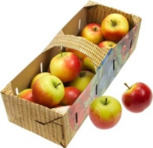 Äpfel 4.99 €