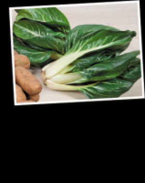 Mangold 1.97 €