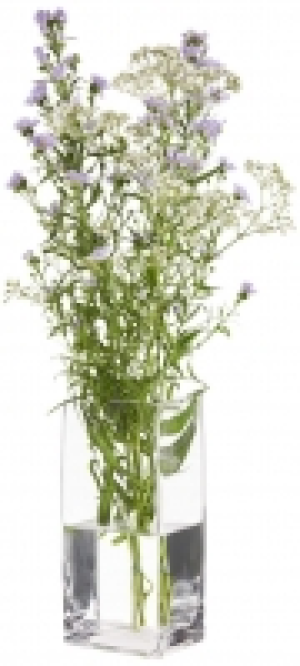 Vase 3.99&nbsp;&euro;