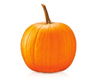 Halloween-K&uuml;rbis 3.99&nbsp;&euro;