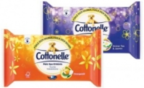 Cottonelle Feuchte Toilettent&uuml;cher 1.19&nbsp;&euro;