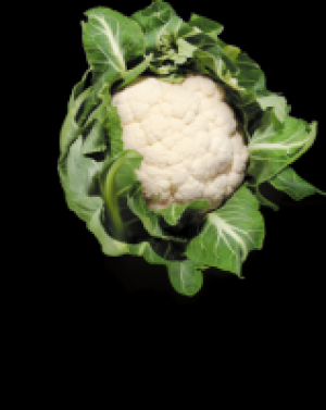 Blumenkohl 2.47 €