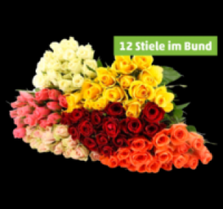 Wunderschöne Rosen 2.49 €