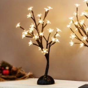 LED-Bäumchen 5.99 €