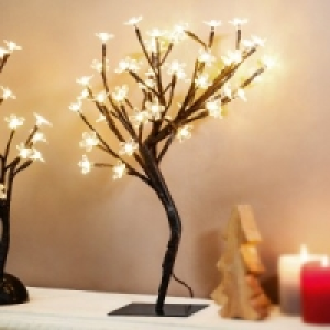 LED-Bäumchen 12.99 €
