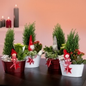 Weihnachtliches Arrangement 7.99 €