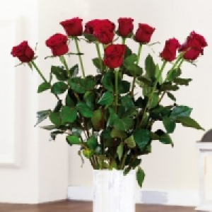 Premium Rosen 3.99 €