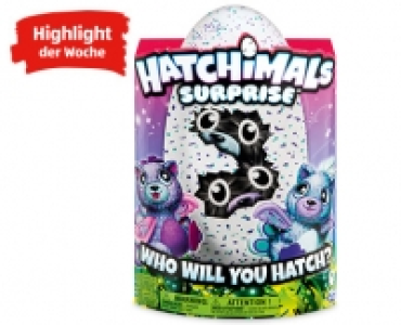 HATCHIMALS Surprise 49.99&nbsp;&euro;