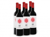 Lidl  6 x 0,75-l-Flasche Weinpaket Sacro Santo Rioja DOC trocken, Rotwein