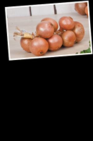 ZwiebelzopfRose de Roscoff 5.97 €
