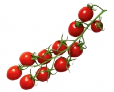 Mini-Romarispentomaten 1.19 €