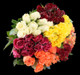 Wunderschöne Rosen 2.99 €