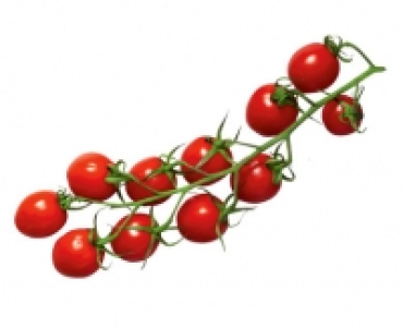 Mini-Romarispentomaten 1.59 €