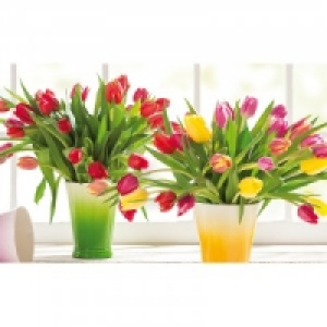 Tulpenstrauß 1.99 €