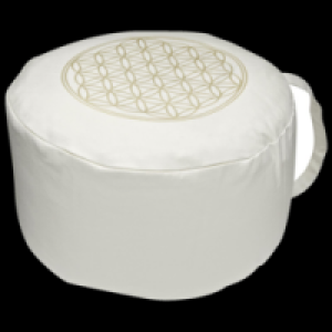 Yogakissen 9.99 €