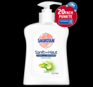 SAGROTAN Fl&uuml;ssigseife 2.39&nbsp;&euro;