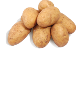Ebl Naturkost Fränkische Kartoffeln im 2-kg-Sack