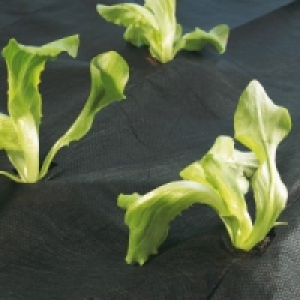 Gartenvlies 2.99 €