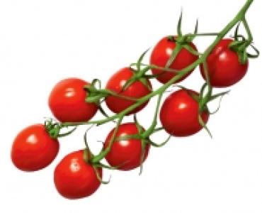 Mini-Romarispentomaten 1.66 €