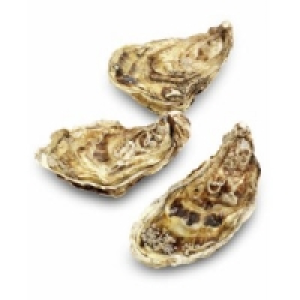 Felsenauster Fine de Claire Nr.2 0.79 €