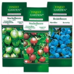 Beerensträucher 1.79 €