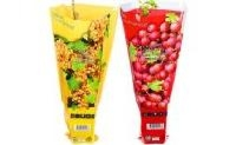 Beerenobststr&auml;ucher 2.99&nbsp;&euro;