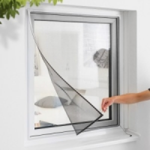 Magnet-Fliegengitter 12.99 €