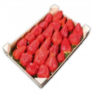 Premium Erdbeeren 4.79 €