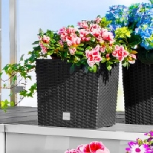 Blumentopf 9.99 €