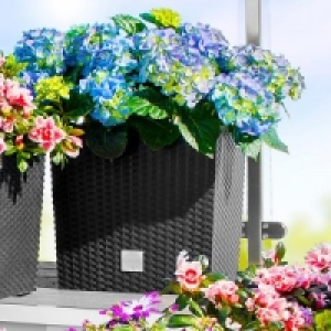 Blumentopf 14.99 €