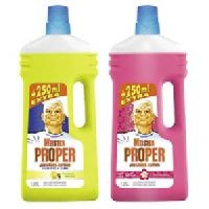 Meister Proper Reiniger