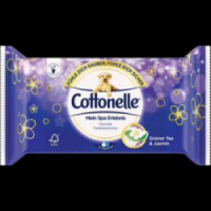 Mein Spa Erlebnis feuchte Toilettentücher 1.19 €