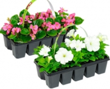 GARDENLINE®Beetpflanzen, 10er-Tray 1.49 €
