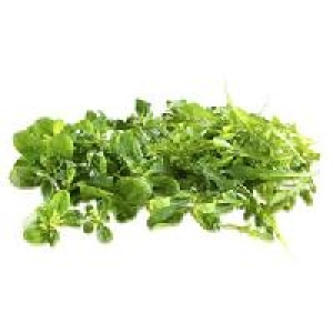 Frankreich Feldsalat oder Deutschland Rucola Salat
