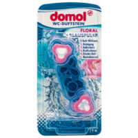 Rossmann Domol WC-Duftstein Floral + Blauspüler