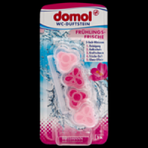 Rossmann Domol WC-Duftstein Frühlings-Frische