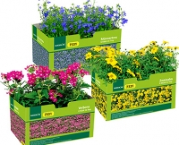 GARDENLINE®Balkon- und Kübelpflanzen