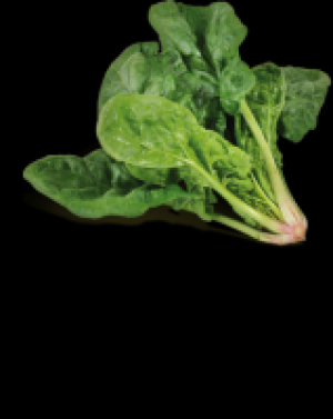 Blattspinat 3.47 €